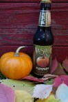 Wasatch Pumpkin Seasonal Ale